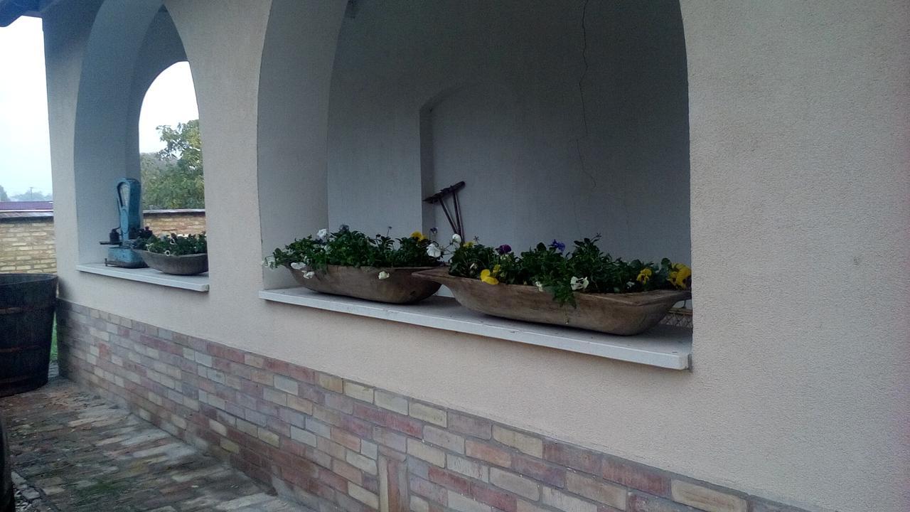 Resort La Tulipe Noire Ceglédbercel エクステリア 写真